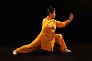 张勤-国际武术家-日历