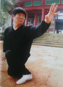 王武泉-国际武林百杰