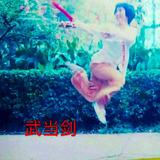 刘娟-国际武术家-日历