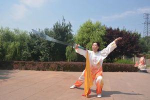 赵志杰-国际武术家-日历