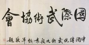 国际武术协会-袁铁军