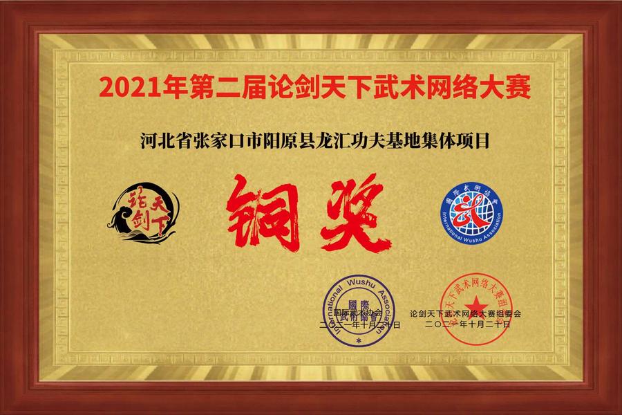 河北省张家口市阳原县龙汇功夫基地集体项目.jpg