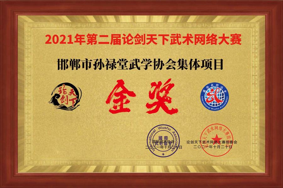 邯郸市孙禄堂武学协会集体项目.jpg