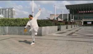 王云南-国际武术家-日历