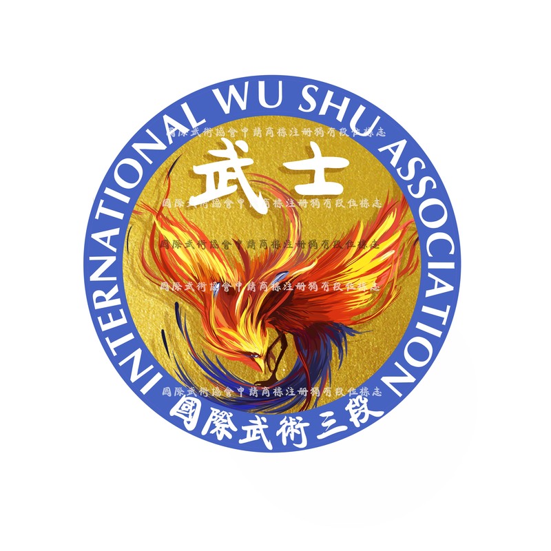 国际武术三段.jpg