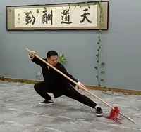 赵晓飞-国际武术家-日历