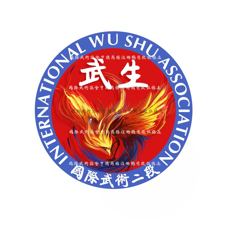 国际武术二段.jpg