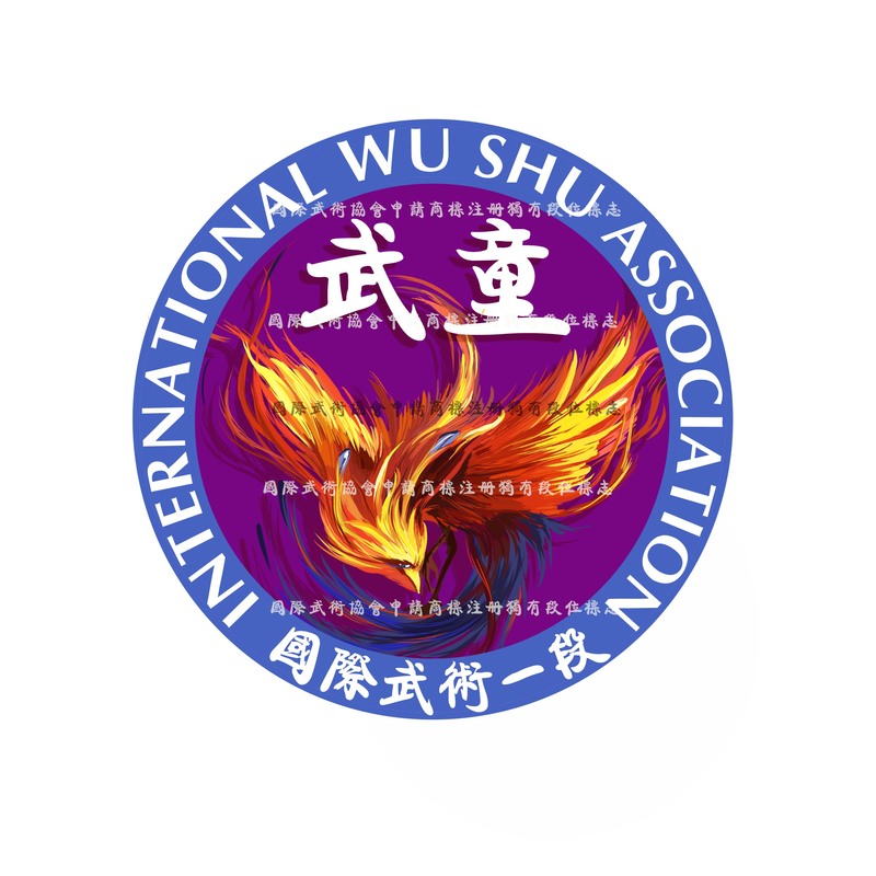 国际武术一段.jpg