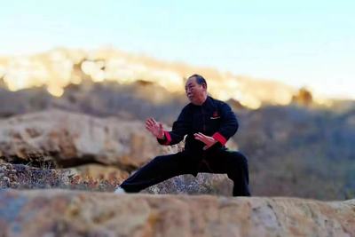 杨福生-国际武林百杰