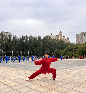 高书欣-国际武术协会