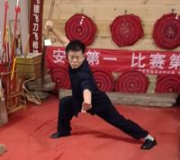 汪合法-国际武术家-日历