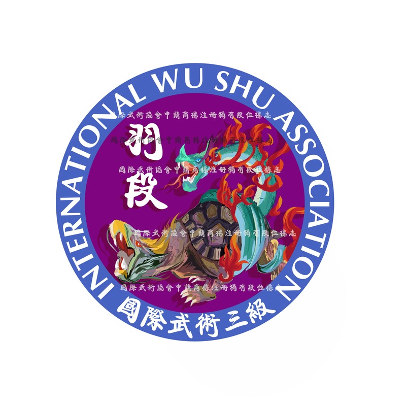 国际武术三级 (1).jpg